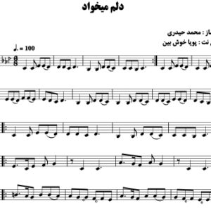 دلم میخواد