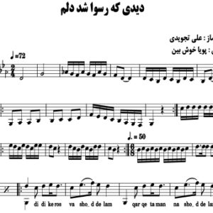 دیدی که رسوا شد دلم